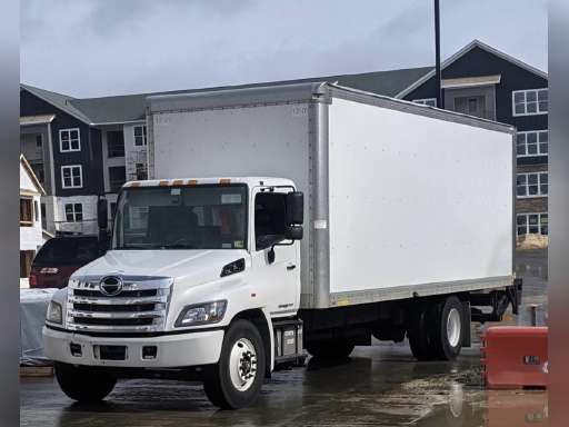 True Life Movers True Life Movers