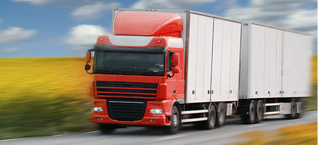 LD Moving & Storage LD Moving & Storage