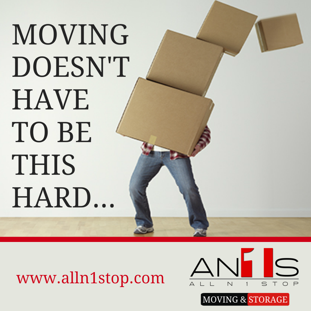 All N One Stop All N One Stop