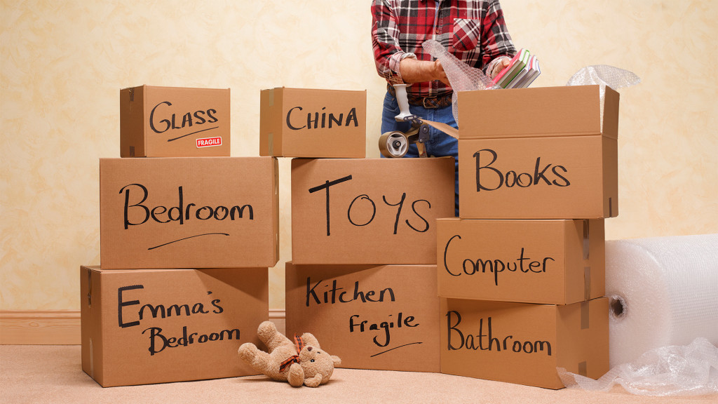 Vision Movers Vision Movers