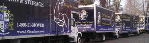 DN Van Lines DN Van Lines