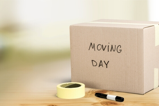 Movers On Duty Movers On Duty