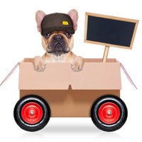 How To Choose The Best Pet Shipping Companies of 2023