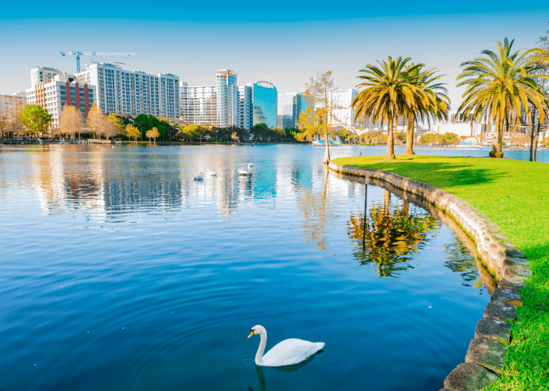 Moving Companies in orlando - iMoving The Best Movers in orlando Working with iMoving