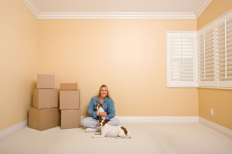 Best Way To Moving With Pets Cross Country - iMoving