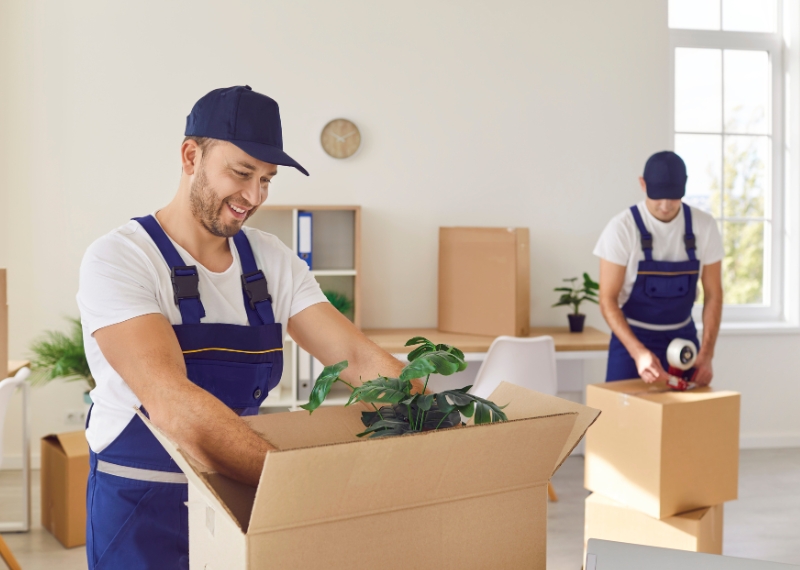 Most Affordable Moving Companies