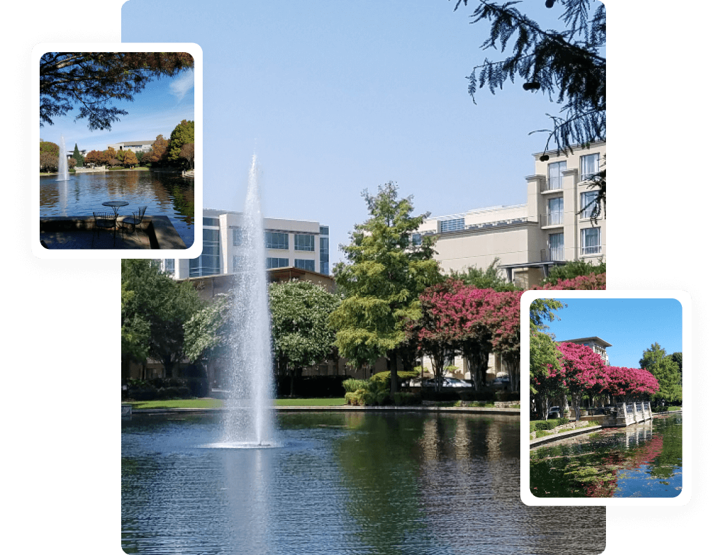 Moving Companies in plano - iMoving The Best Movers in plano Working with iMoving