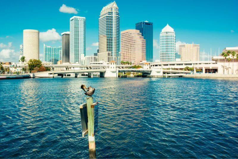 Cost to Move from Chicago to Tampa - iMoving Cost to Move from Chicago to Tampa