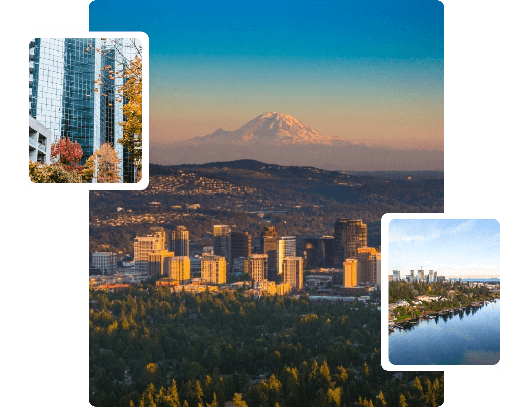 The Best Movers in bellevue Working with iMoving