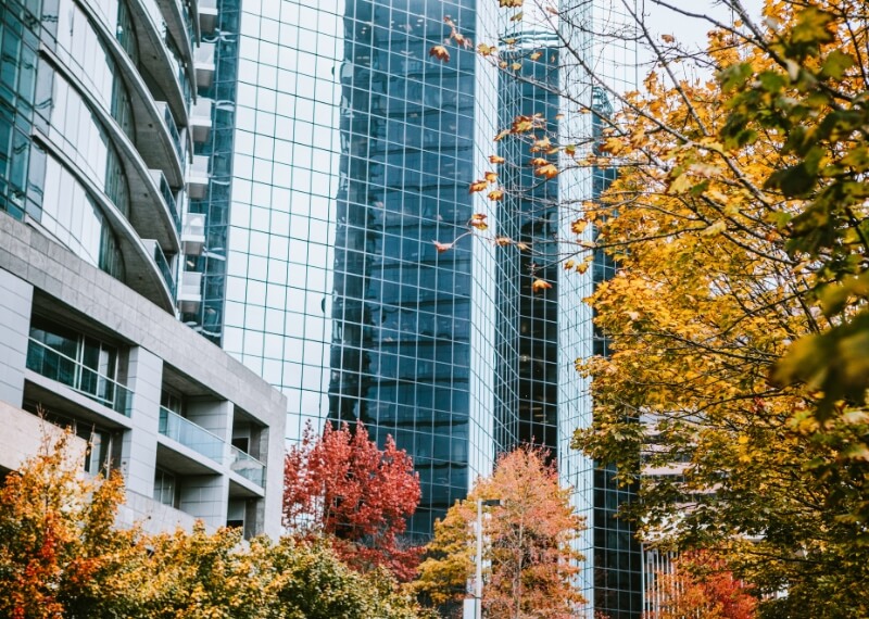 The Best Movers in bellevue Working with iMoving