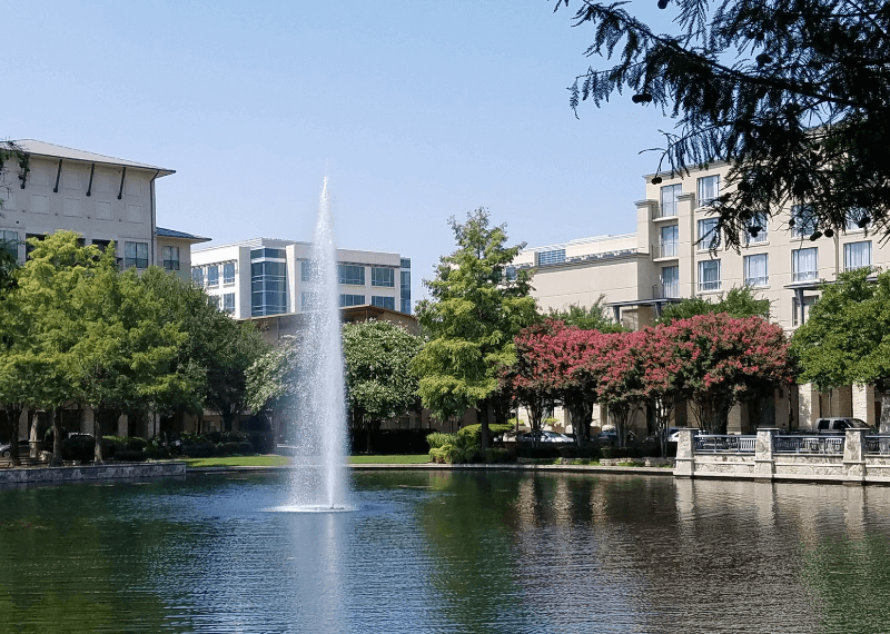 Moving Companies in plano - iMoving The Best Movers in plano Working with iMoving